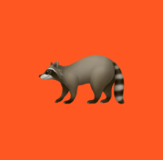Causo for Fundraising favicon