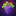GrapeGPT favicon