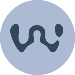 WEIR AI favicon