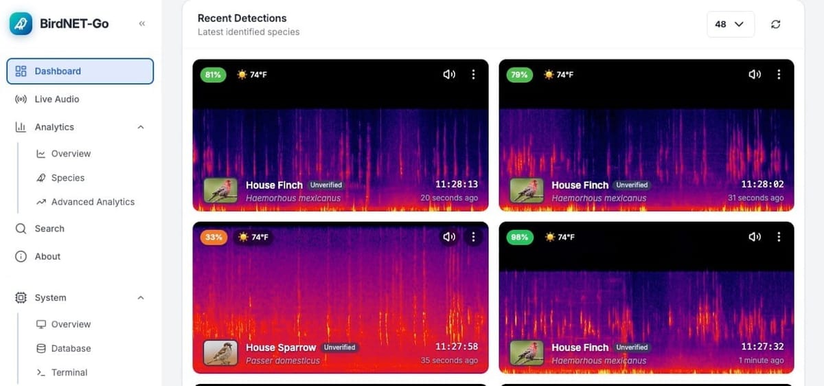 Migration von 51.000 iCloud-Fotos: Jason Tucker nutzt ImmiBridge für den Umzug auf Immich
