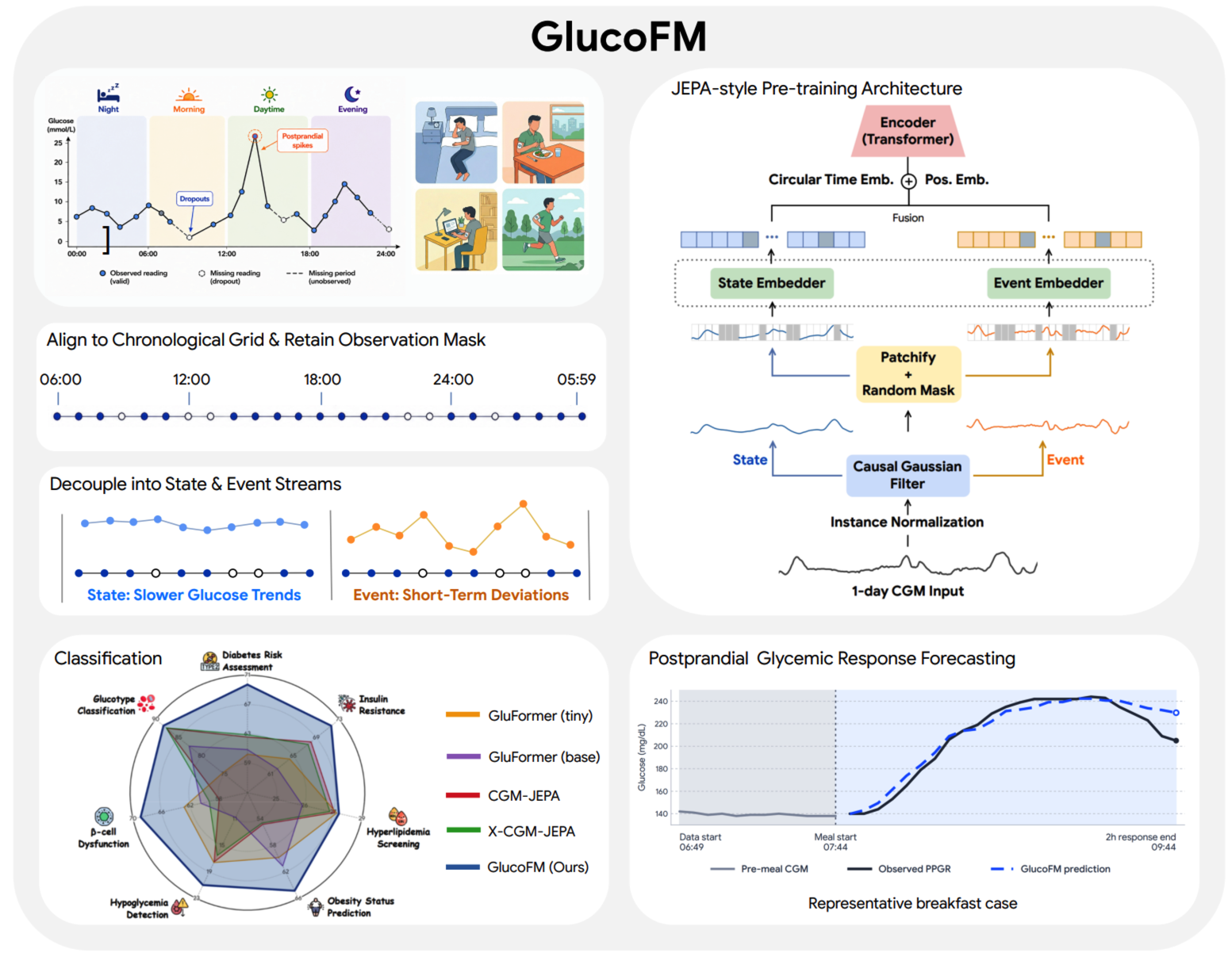 Google Research stellt GlucoFM vor: Ein neues Foundation Model für die kontinuierliche Glukosemessung