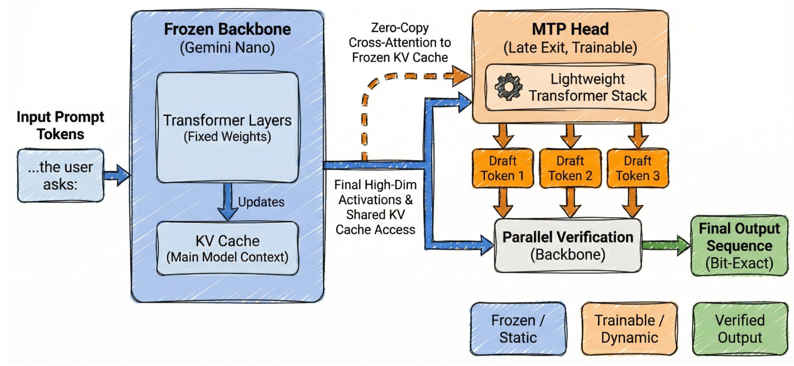 Accelerating Gemini Nano Models on Pixel Devices via Frozen Multi-Token Prediction Techniques