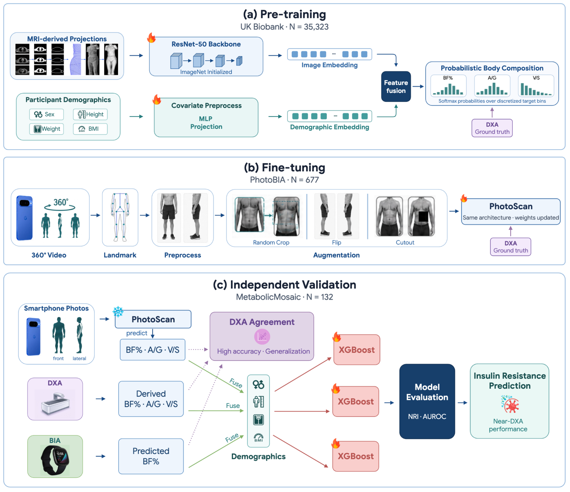 Google Research Explores Estimating Cardiometabolic Risk Using Smartphone Imagery to Move Beyond Traditional BMI Metrics